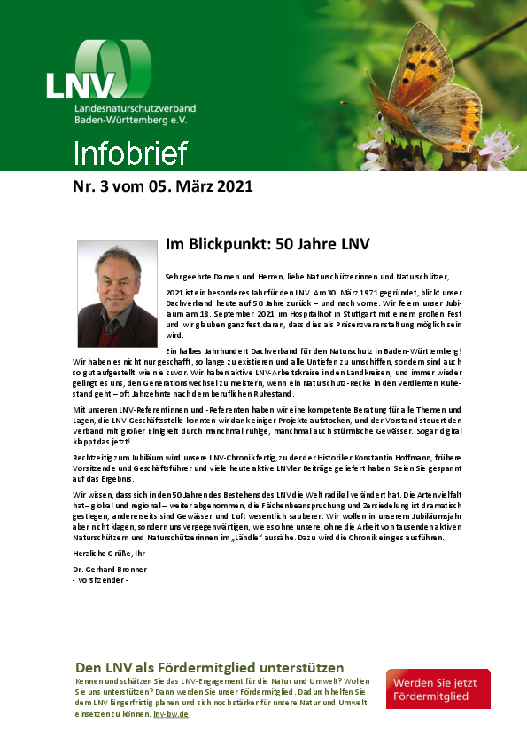 pdf-preview